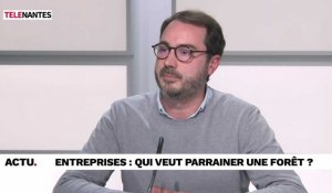 VIDEO. Un dispositif pour que les entreprises parrainent des forêts