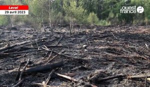 VIDÉO. Un hectare de forêt brûlé dans le bois de l’Huisserie à Laval