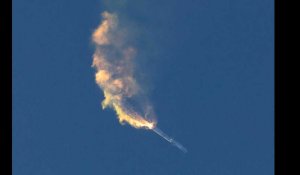 VIDÉO. Starship, la plus grande fusée de Space X, a explosé en vol après son décollage