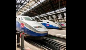 SNCF : la compagnie ferroviaire française condamnée pour avoir écrasé le chat Neko