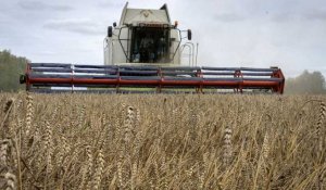 Céréales : Kyiv veut maintenir ses exportations sans la Russie