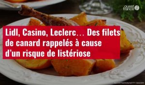 VIDÉO. Lidl, Casino, Leclerc… Des filets de canard rappelés à cause d’un risque de listériose