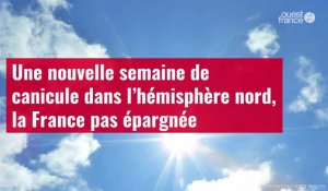 VIDÉO. Une nouvelle semaine de canicule dans l’hémisphère nord, la France pas épargnée