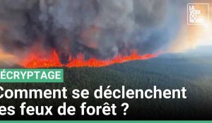 Incendie : comment se déclenchent les feux de forêt ?