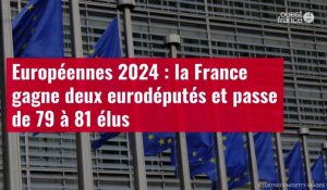 VIDÉO. Européennes 2024 : la France gagne deux eurodéputés et passe de 79 à 81 élus