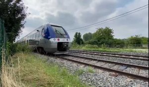 Un homme mortellement percuté par un train à Reims