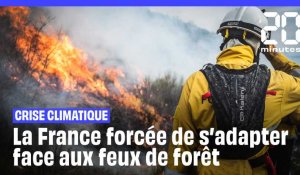 Crise climatique : La France forcée d'adapter sa stratégie face aux feux de forêt