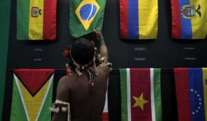 Huit pays sud-américains travaillent sur une stratégie commune pour sauver l'Amazonie