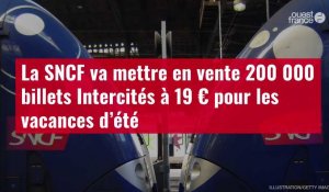 VIDÉO. La SNCF va mettre en vente 200 000 billets Intercités à 19 € pour les vacances d’été