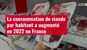 VIDÉO. La consommation de viande par habitant a augmenté en 2022 en France