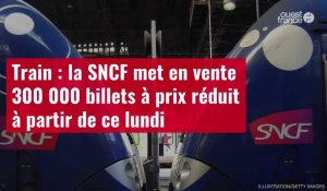 VIDÉO. Train : la SNCF met en vente 300 000 billets à prix réduit à partir de ce lundi