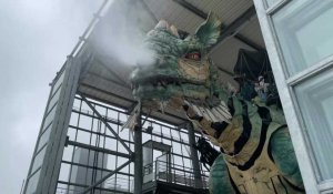 Calais : le dragon illumine toujours le front de mer