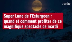 VIDÉO. Super Lune de l’Esturgeon : quand et comment profiter de ce magnifique spectacle ce mardi