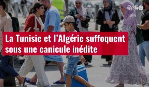 VIDÉO. La Tunisie et l’Algérie suffoquent sous une canicule inédite