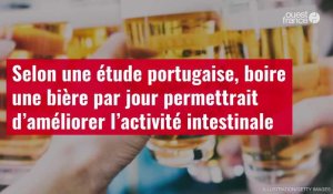 VIDÉO. Selon une étude portugaise, boire une bière par jour permettrait d’améliorer l’activité intestinale