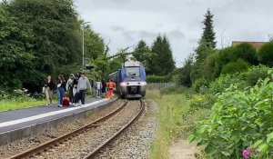 Brimeux : un arbre tombe sur les rails