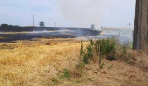Villers-au-Flos : un champ ravagé par un incendie