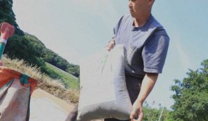 VIDEO. Au Japon, des agriculteurs utilisent des engrais d'origine humaine face à la flambée des prix