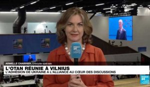Sommet de l'Otan à Vilnius : "le président Volodymyr Zelensky vient chercher de l'armement"