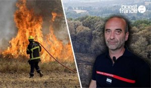 VIDÉO. Incendie dans la forêt de Brocéliande : un an après, le feu a laissé des traces