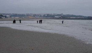 Nouvelle scène de désolation sur la plage de Boulogne-sur-Mer