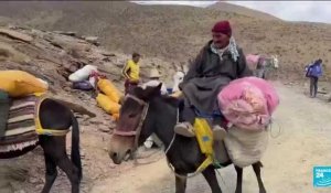 Séisme au Maroc : l'aide s'achemine à dos d'âne dans les villages