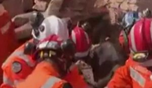  Séisme au Maroc : Un âne est secouru des décombres d’un bâtiment après six jours #shorts