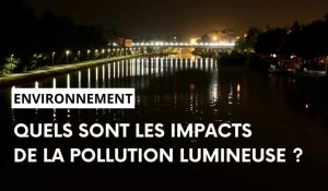 Pollution lumineuse : un danger pour la santé et pour l'environnement