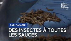 Les insectes bientôt dans nos assiettes ?