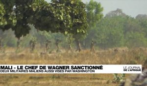 Deux hauts gradés maliens sanctionnés par Washington pour "violations des droits humains"