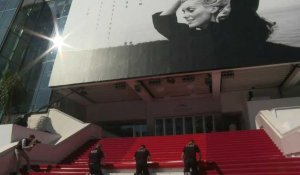 Festival de Cannes : déroulé du tapis rouge sur les marches du Palais des festivals