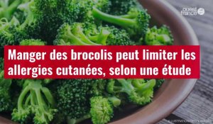 VIDÉO. Manger des brocolis peut limiter les allergies cutanées, selon une étude