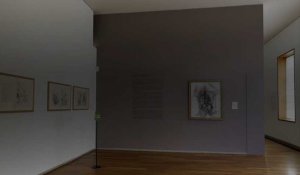 Le Cateau-Cambrésis : cinq questions autour de la fermeture du musée Matisse pendant un an
