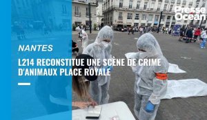 VIDÉO. Scènes de crime au cœur de Nantes pour défendre la cause animale