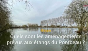 Nieppe : Quels sont les aménagements prévus aux étangs du Pontceau ?
