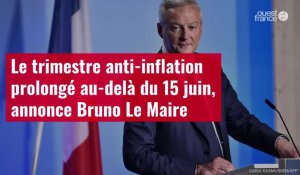 VIDÉO. Le trimestre anti-inflation prolongé au-delà du 15 juin, annonce Bruno Le Maire