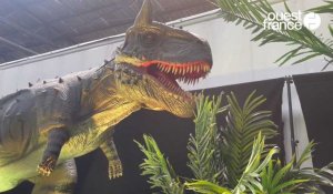 VIDÉO. Des dinosaures envahissent le Parc-expo de Caen ce week-end