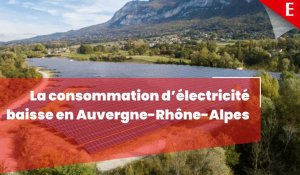 Énergie : la région Auvergne-Rhone-Alpes plutôt bonne élève pour les économies d’électricité