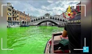 Eau verte dans le Grand canal de Venise : mystère sur l'origine de la coloration