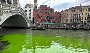 Venise : les eaux du Grand Canal virent au vert fluorescent