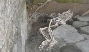 De nouveaux restes humains découverts à Pompéi