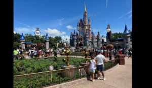 VIDÉO. Grève à Disneyland Paris : plus d'un millier de manifestants défilent dans le parc
