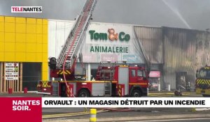 VIDEO. Le JT du 06 juin : un incendie à Orvault et une mobilisation en baisse contre la réforme des retraites