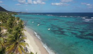 Guadeloupe : les trésors de l'archipel papillon
