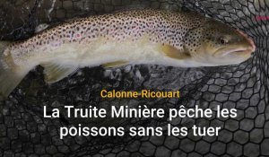 Calonne-Ricouart : au club de pêche la Truite Minière, on attrape les poissons sans les tuer