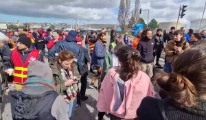 L'arrivée d'Adèle Haenel et de manifestants parisiens à Gonfreville l'Orcher
