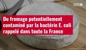 VIDÉO. Du fromage potentiellement contaminé par la bactérie E. coli rappelé dans toute la France