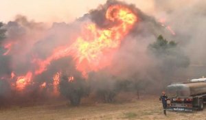 Nouvelle vague d'incendies en Grèce: un incendie fait rage à Ano Liosia