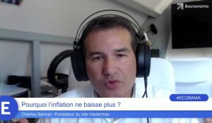 Pourquoi l'inflation ne baisse plus ?