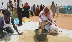 Au Tchad, les réfugiés soudanais peinent à se nourrir